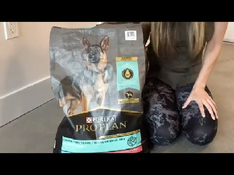 PUPPY FOSTER REVIEW! Purina Pro Plan Large Breed Puppy Food