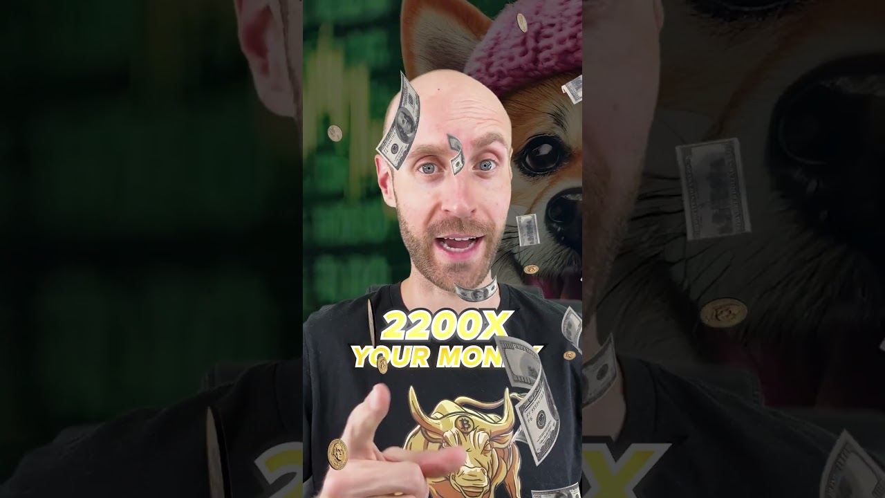 If You Bought Just $100 of DogWIFhat in December of 2023?! 🤯📈🚀 #Shorts
