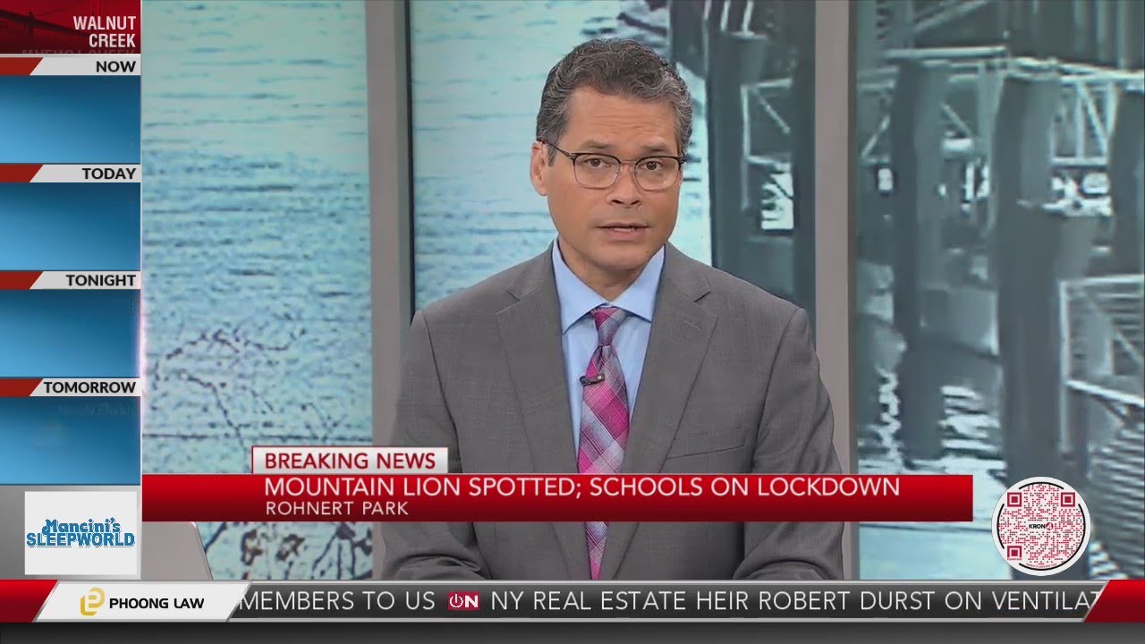 Mountain lion spotted near Sonoma County schools