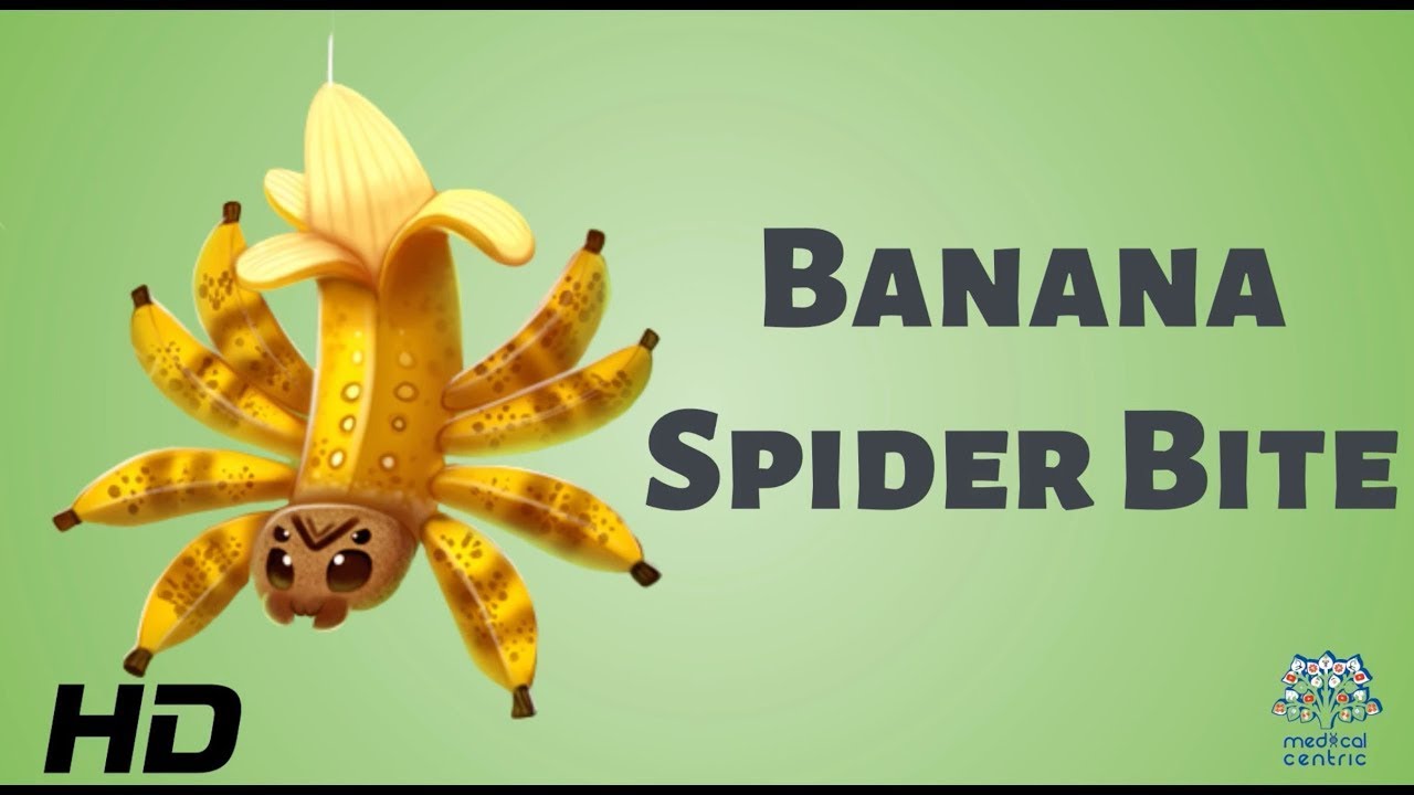 "Deadly Encounters: Unveiling the Truth About Banana Spider's Bite