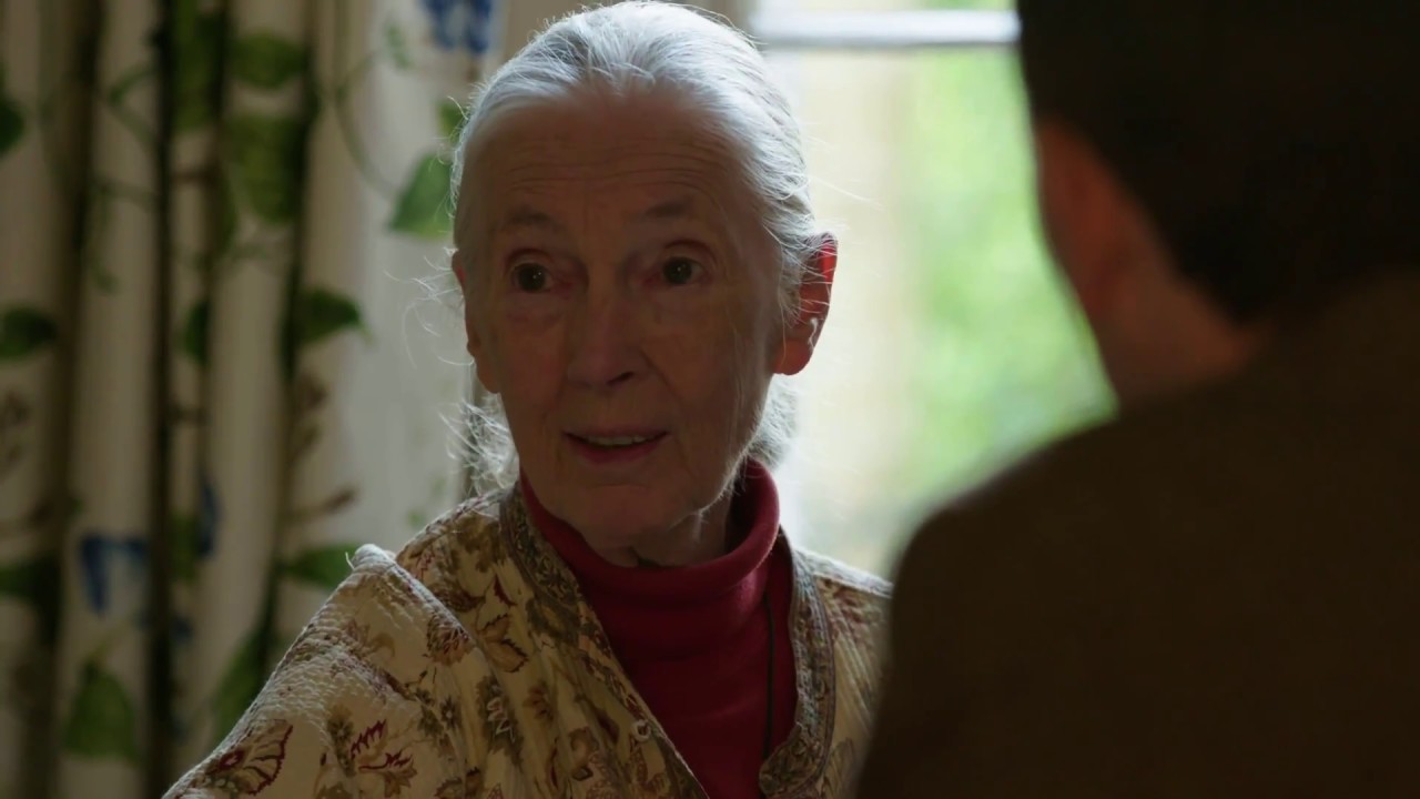Jane Goodall:  The Chimpanzee Who Died of a Broken Heart