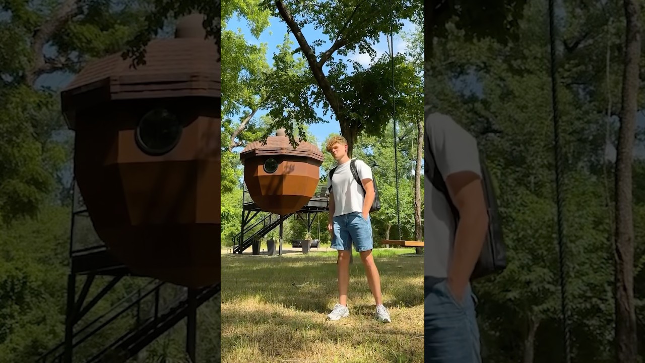 50 states in 50 days