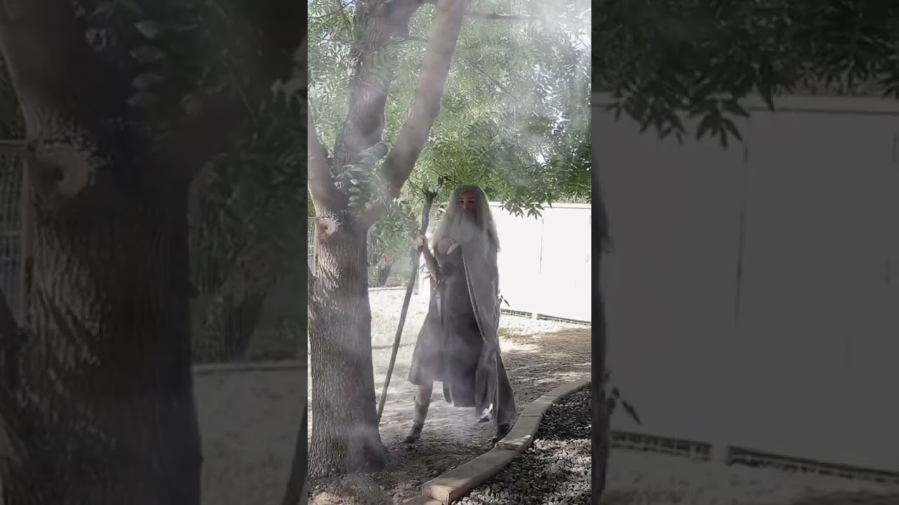 Pov big naturals gandalf appears to take you on the quest of your life #halloweencostume