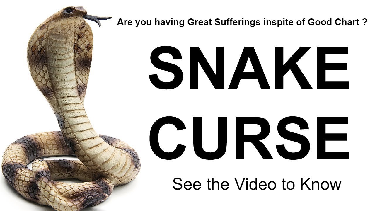 Snake Curse l Snake Curse Astrology l How to Remove Snake Curse