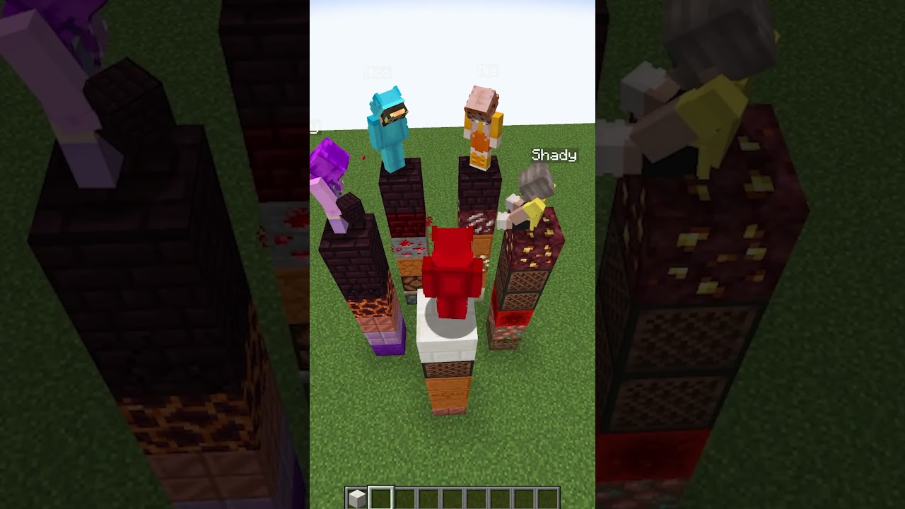 Minecraft TELEPATHY! 3