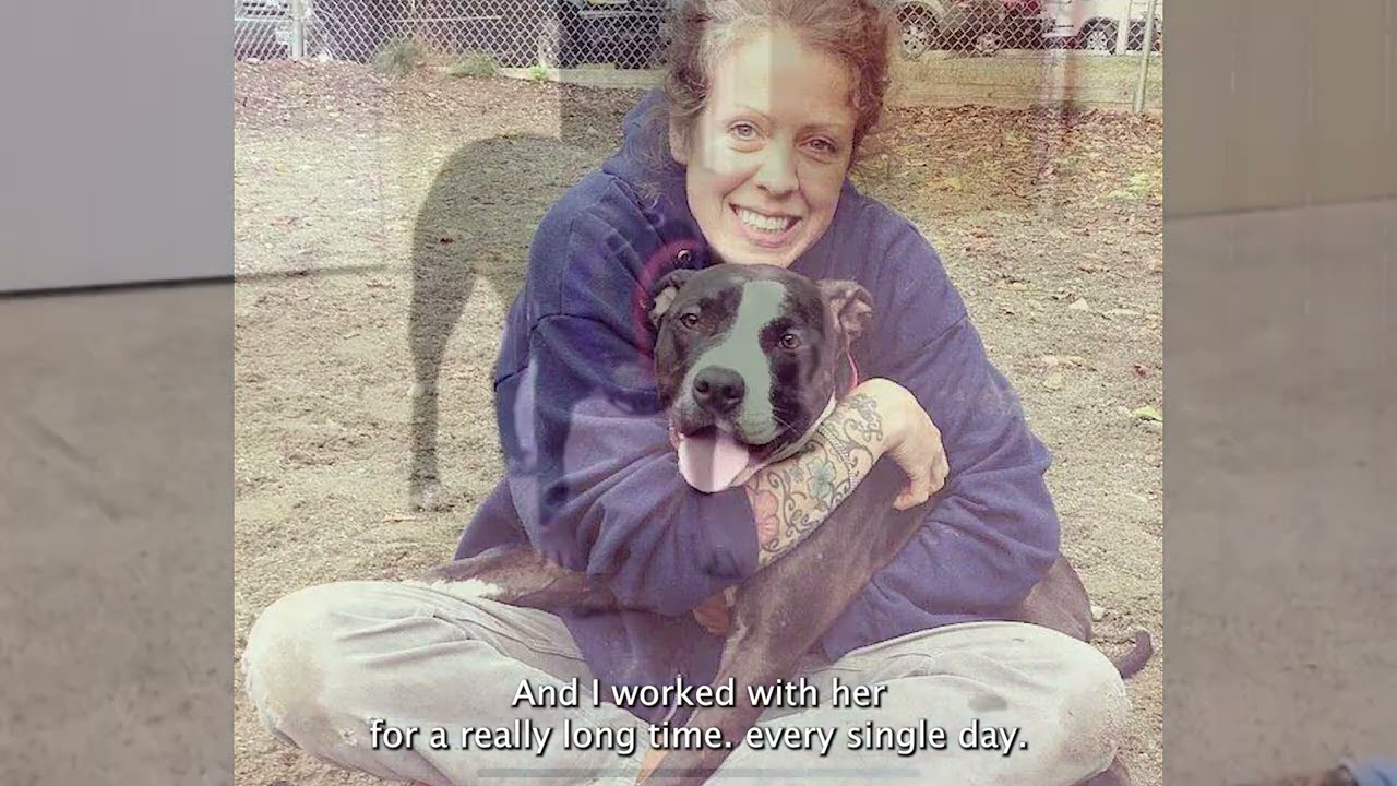 Kitsap Humane Society - Volunteers are Family