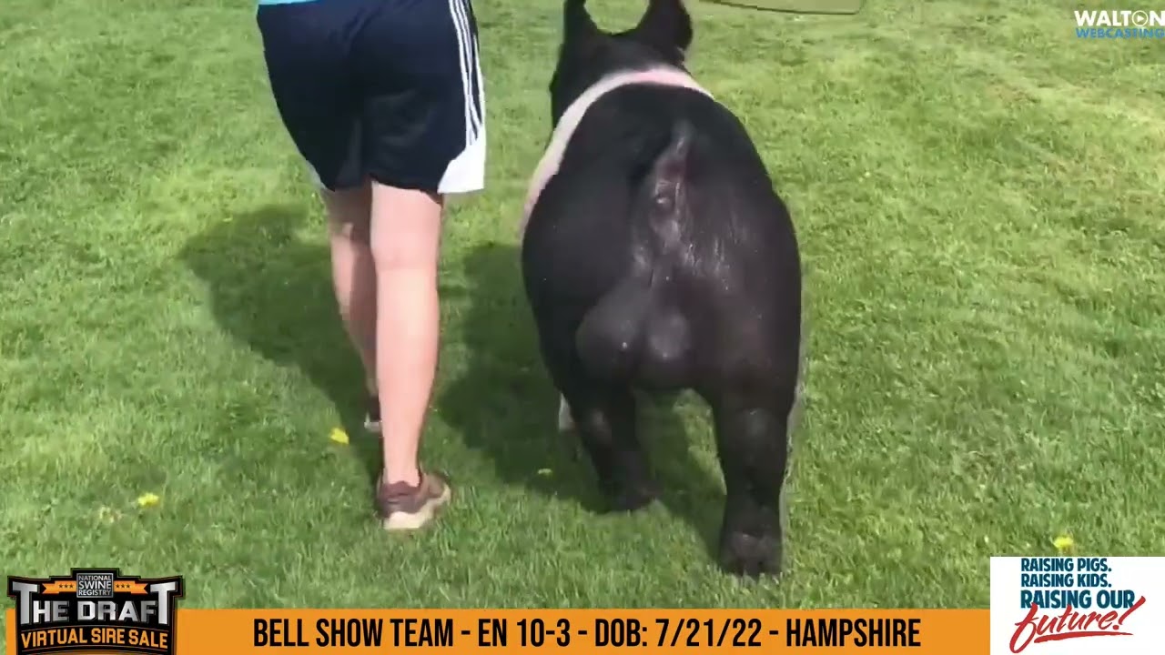 EN 10 3 Bell Show Team The Draft 10 May 2023 11 35 42 AM