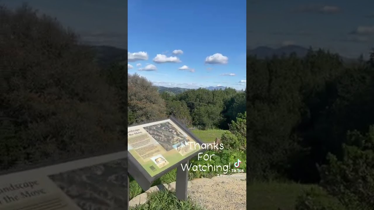 Tilden Regional Park *great views*