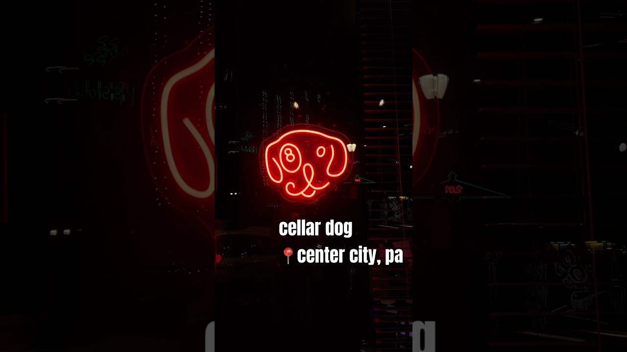 cellar dog 📍center city, pa #visitphilly #jazzbar #philly #centercityphilly