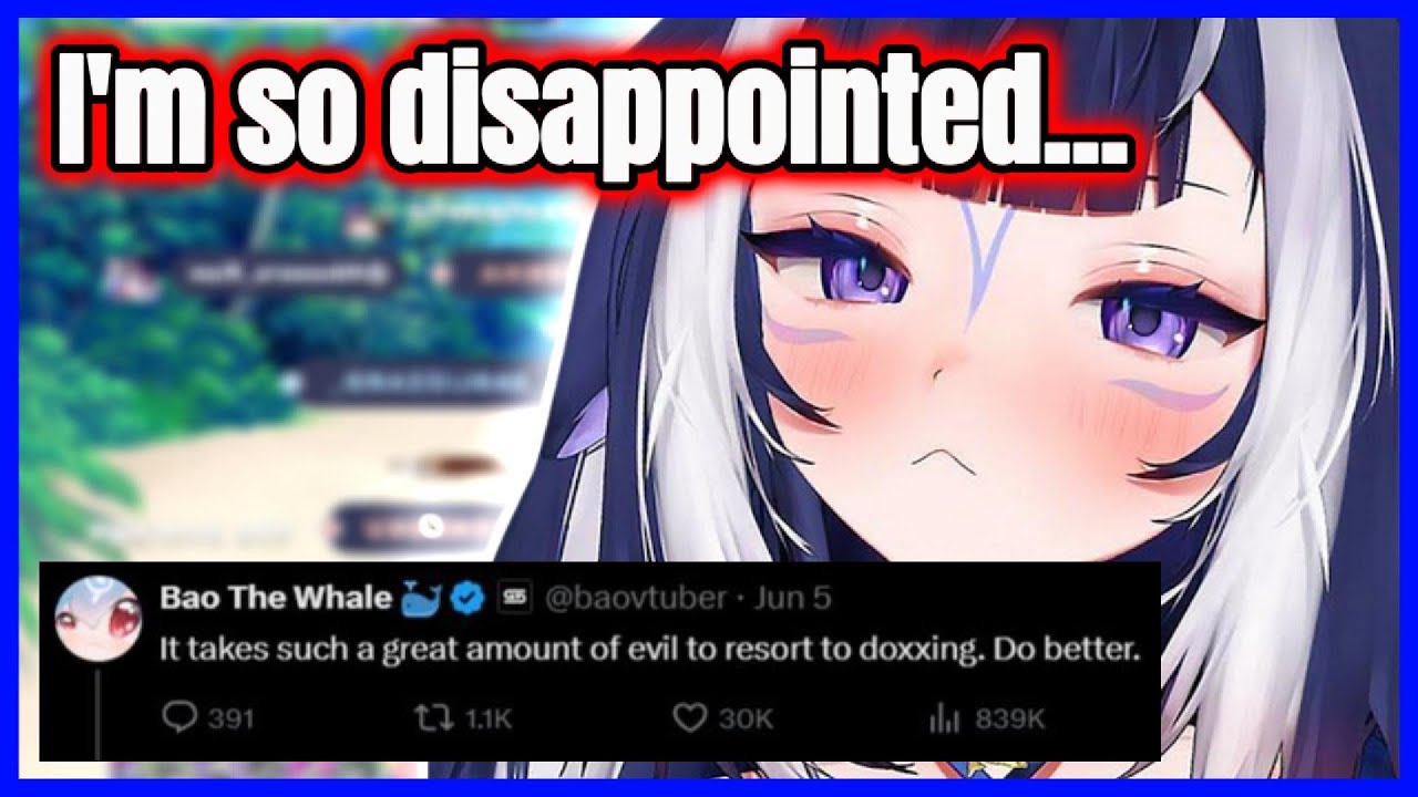 Shylily Finally Breaks Silence About Getting Her FACE DOXXED by Another Streamer