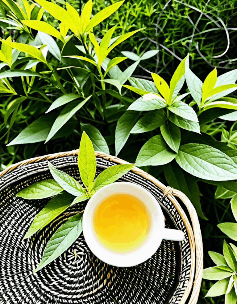 zen leaf st charles